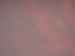 朝焼け雲の中の金星