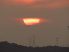 大きな目丸
