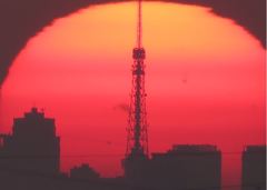 太陽と東京タワー