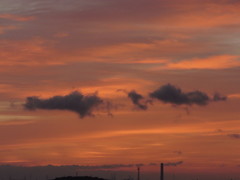 台風一過
