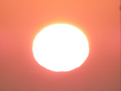 反日の丸20151009_5_50