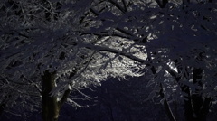 夜の散歩