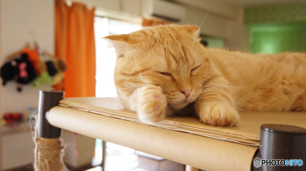 眠い