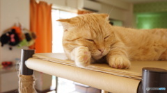 眠い