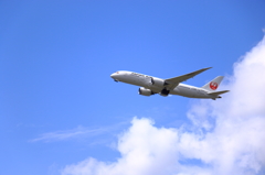 初787撮影