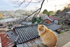 見返り