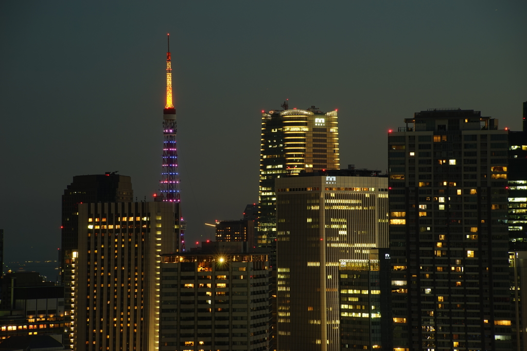 東京タワー写真のつもりが