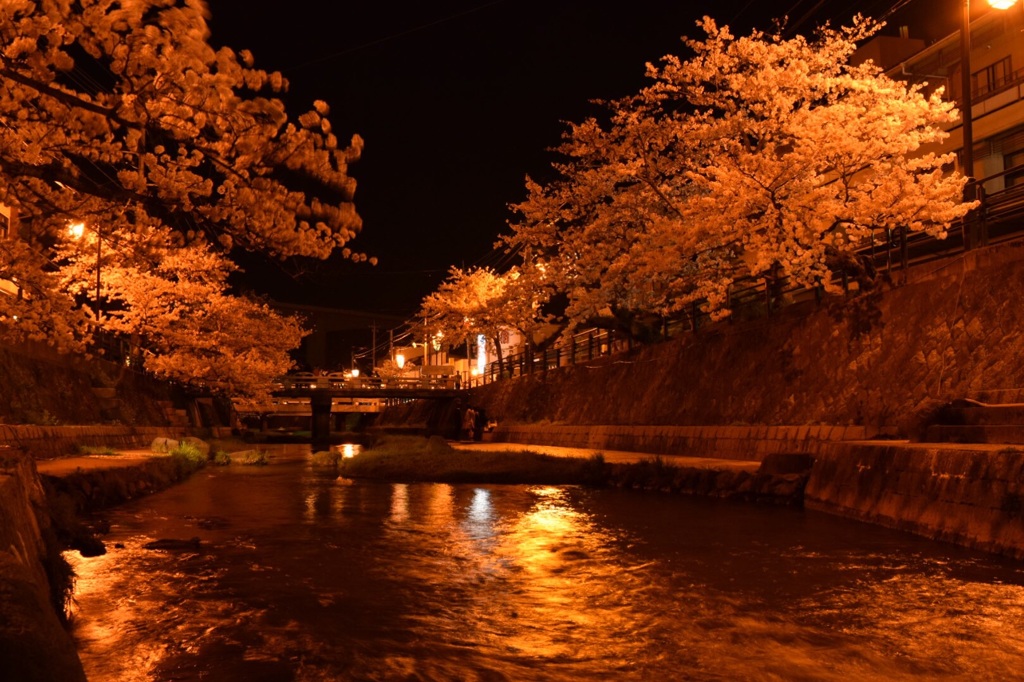 初夜桜3