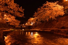 初夜桜3