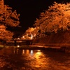 初夜桜3