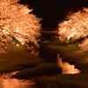 初夜桜2