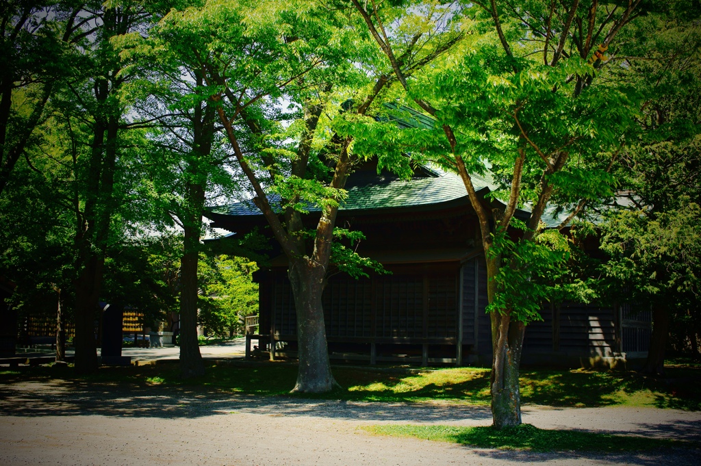 初夏の彩り