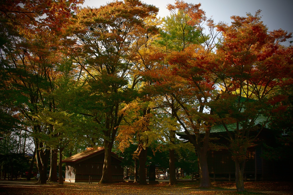 亀田八幡宮