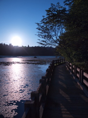 池の夕景