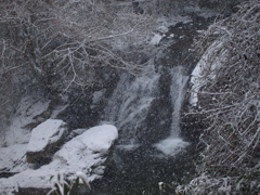 雪中無名滝