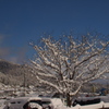 雪の間の晴れ間