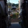 路地先の寺