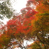 尾関山の紅葉(その2)