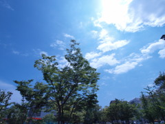 市街地風景
