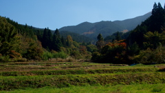 彩なす里山