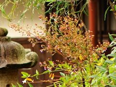 雨上がり