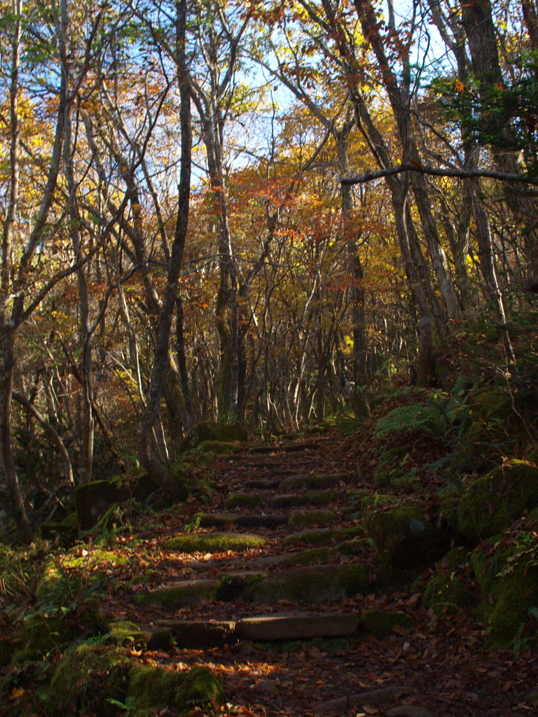 彩なす登山道