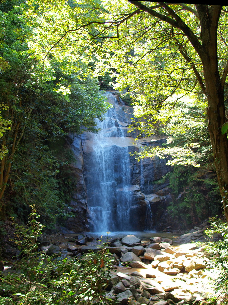 深山の滝