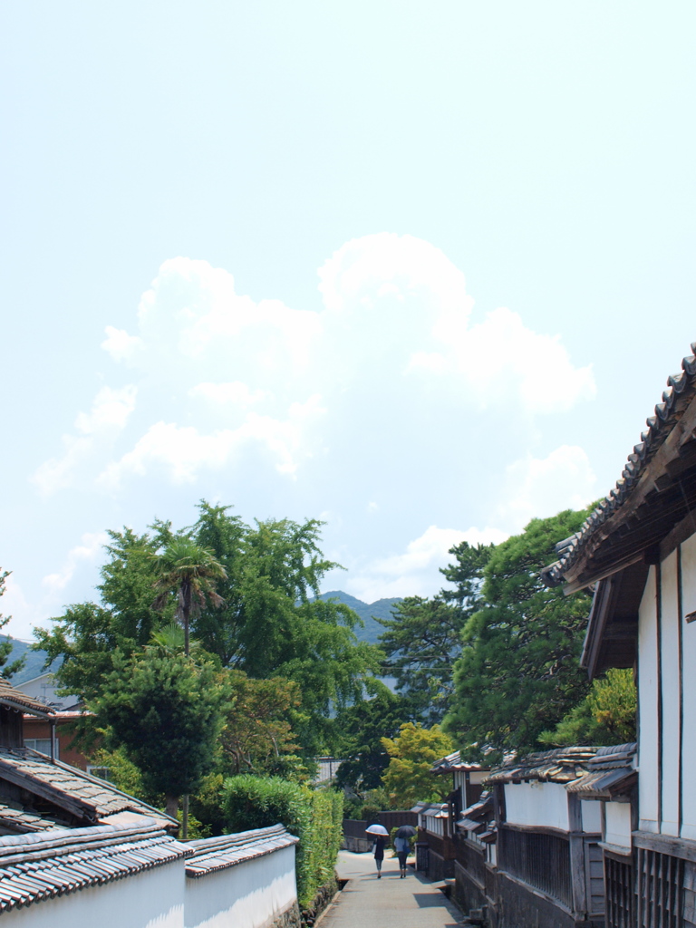 夏の萩路
