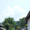 夏の萩路