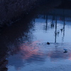 夕暮れ
