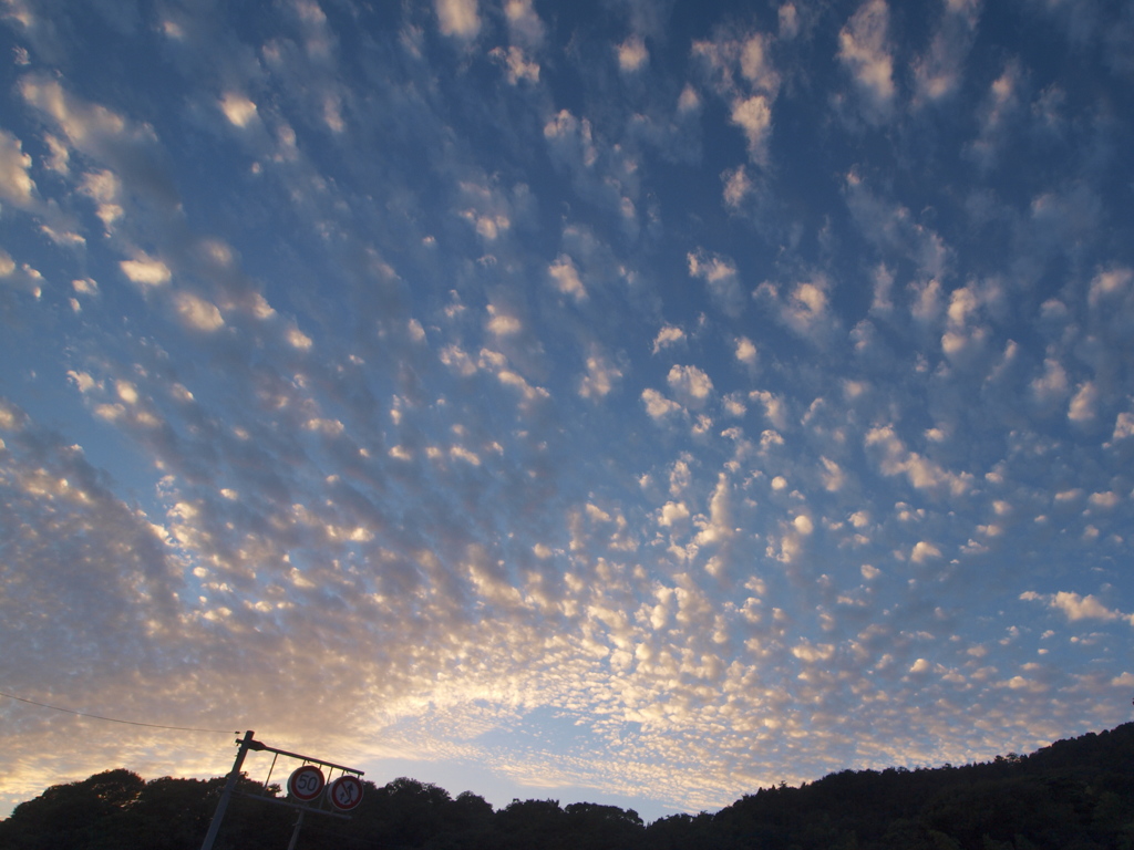 叢雲