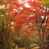 尾関山公園の紅葉