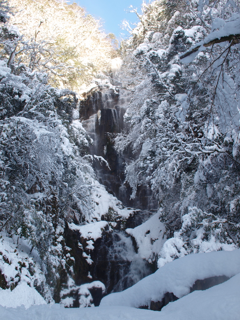 雪を超えて