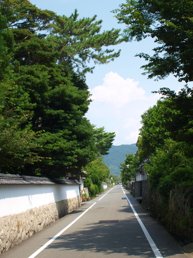 夏の萩路(その2)