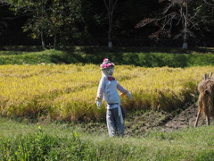 ユニークな案山子。