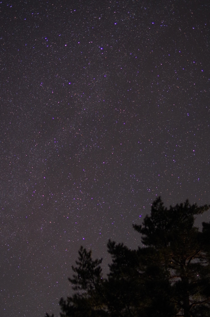 鬼押し出しにて