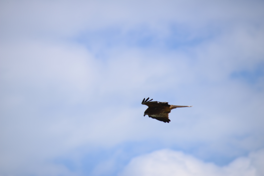 空を滑るように