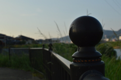 ポール