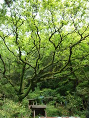 縦横無尽
