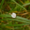 雨は振り花は散る。