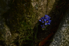 2018/04/12 その９
