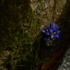 2018/04/12 その９