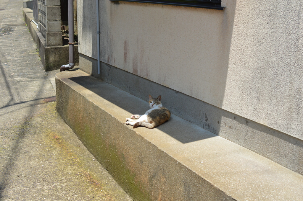 姫島にて