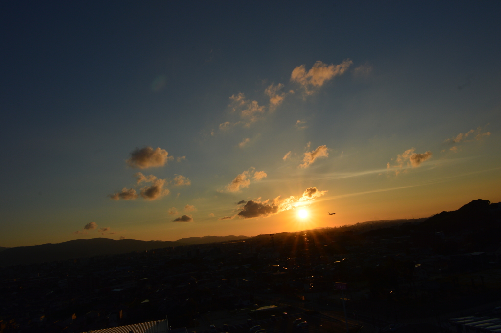 DSC_0006