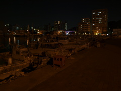 夜の船着場