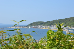 相島