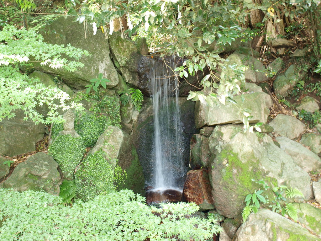 清涼感