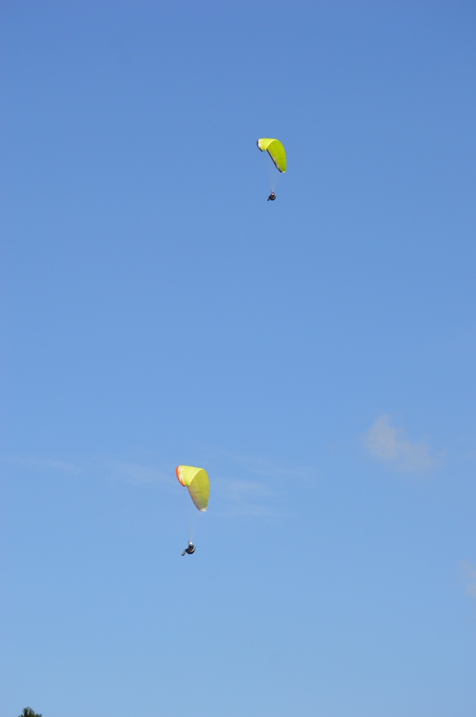 大空を舞う