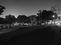 モノクロ公園２