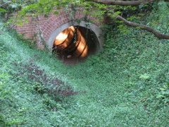 トンネルの先には・・・？